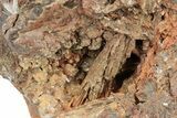 Limonite Pseudomorphs after Köttigite - Ojuela Mine, Mexico #219871-1